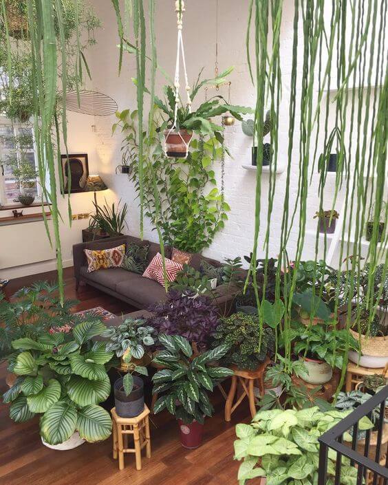 20 Striking Living Room Designs with Garden Ideas - ZuneTalk Green