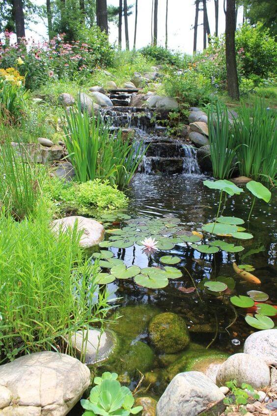 38 Striking Rain Garden Landscaping Ideas - 235