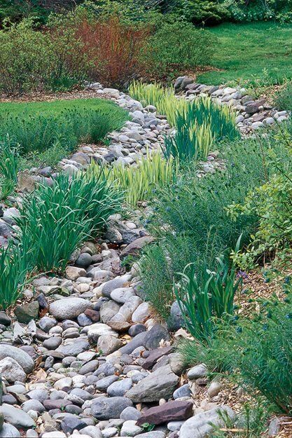 38 Striking Rain Garden Landscaping Ideas - 267