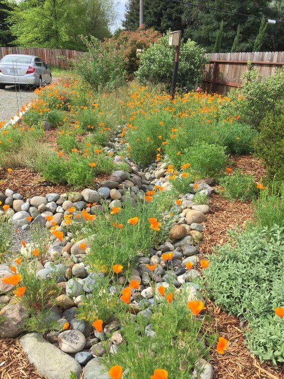 38 Striking Rain Garden Landscaping Ideas - 265