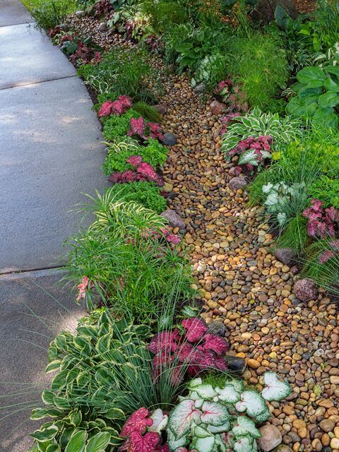 38 Striking Rain Garden Landscaping Ideas - 269