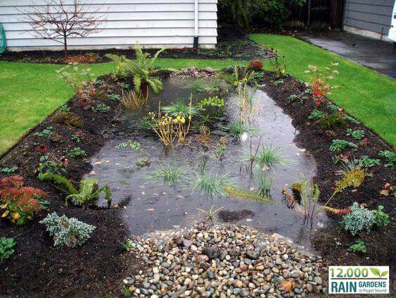 38 Striking Rain Garden Landscaping Ideas - 285