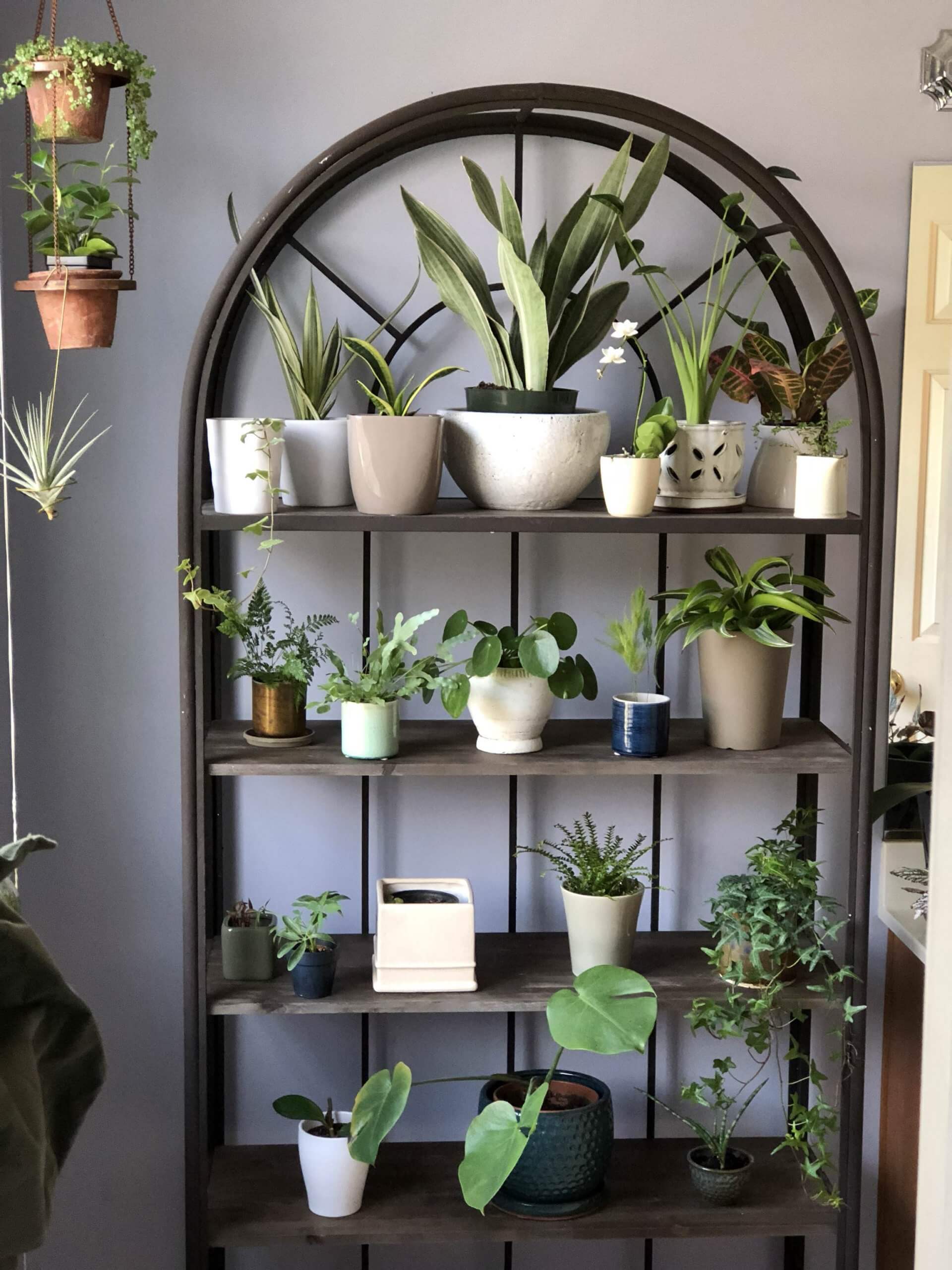 33 Enchanting Bathroom Plant Shelf Ideas - ZuneTalk Green
