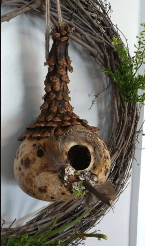 20 Striking DIY Coconut Shell Ideas to Decorate Your Home - 165