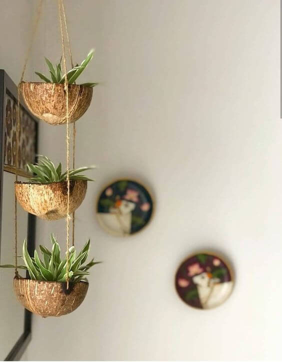 20 Striking DIY Coconut Shell Ideas to Decorate Your Home - 127