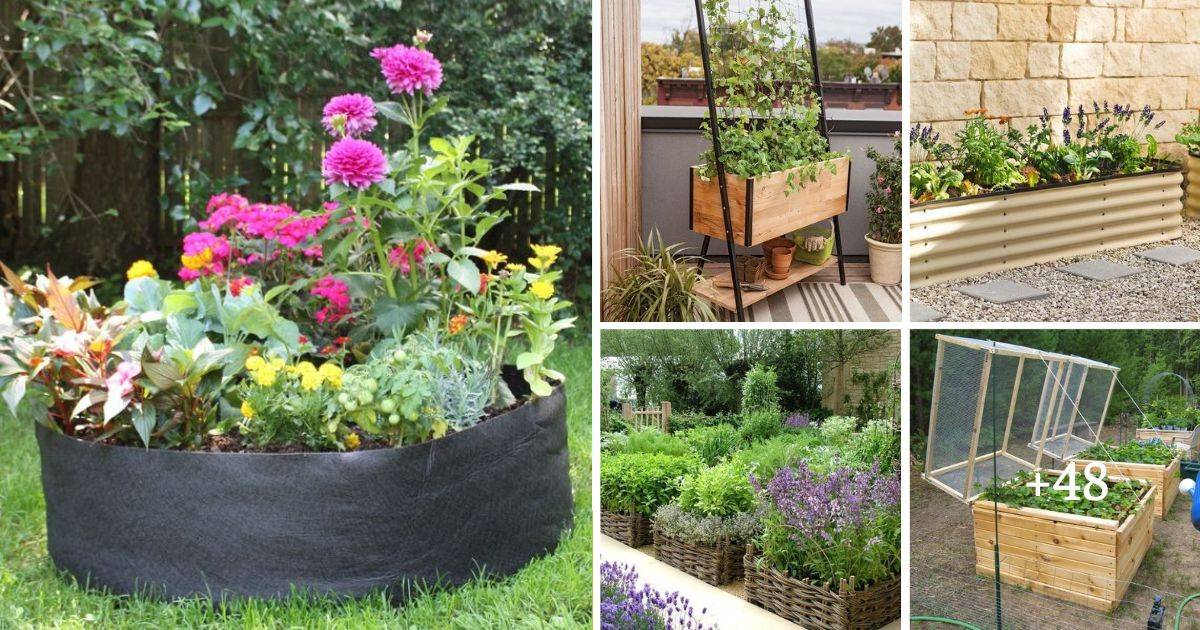 53 Amazing Raised Garden Bed Ideas For Every Space And Budget ...
